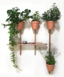 XPOT Shelf - / 1 Round Shelf, L 100 Cm + 2 Supports, H 100 Cm + 1 Support H 150 Cm - Compagnie